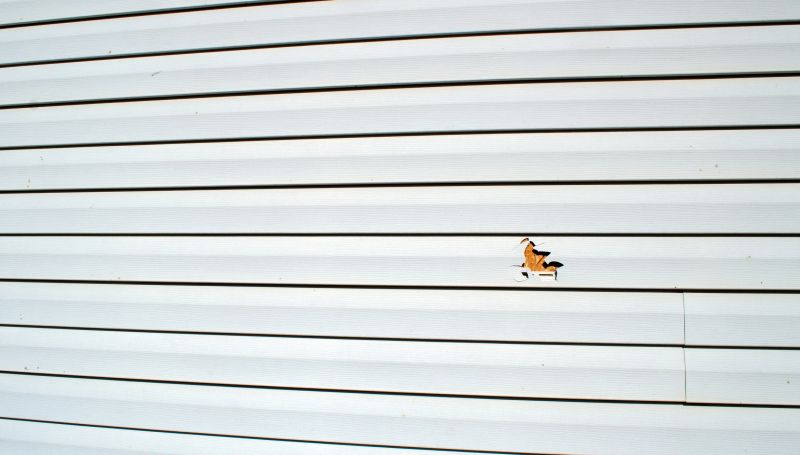 Professional Repair Finish